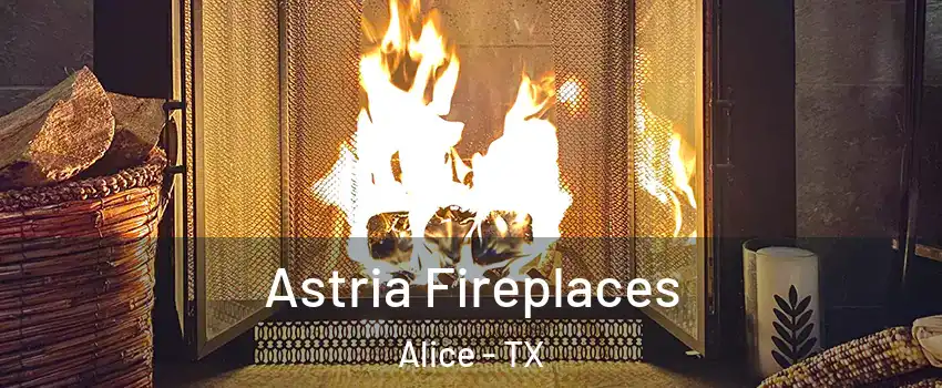  Astria Fireplaces Alice - TX
