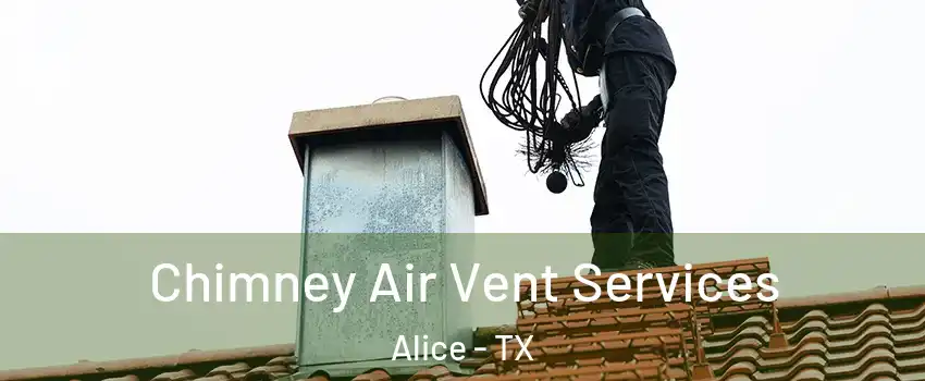  Chimney Air Vent Services Alice - TX