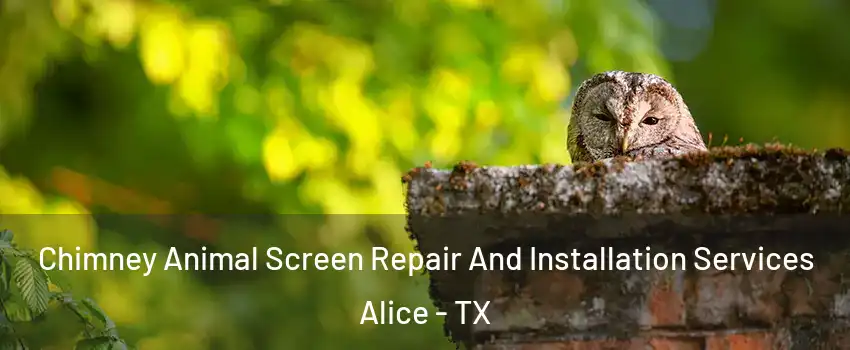  Chimney Animal Screen Repair And Installation Services Alice - TX