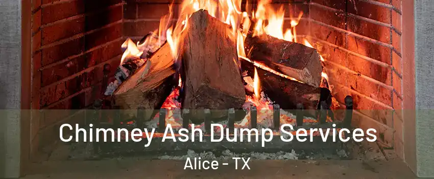 Chimney Ash Dump Services Alice - TX