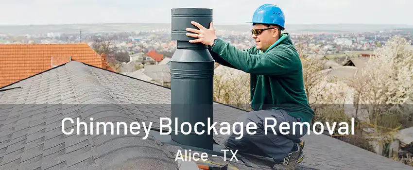  Chimney Blockage Removal Alice - TX