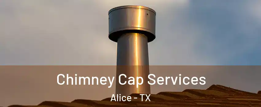  Chimney Cap Services Alice - TX