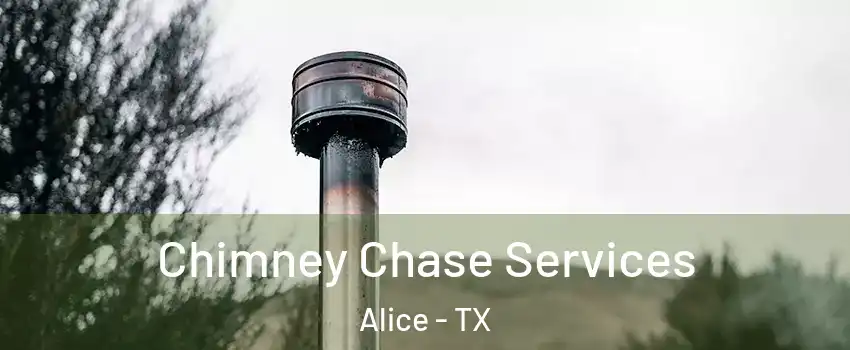  Chimney Chase Services Alice - TX