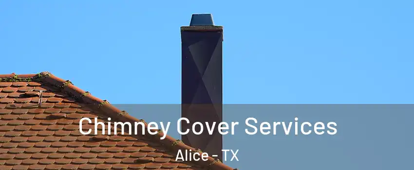  Chimney Cover Services Alice - TX