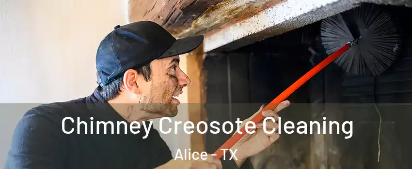  Chimney Creosote Cleaning Alice - TX