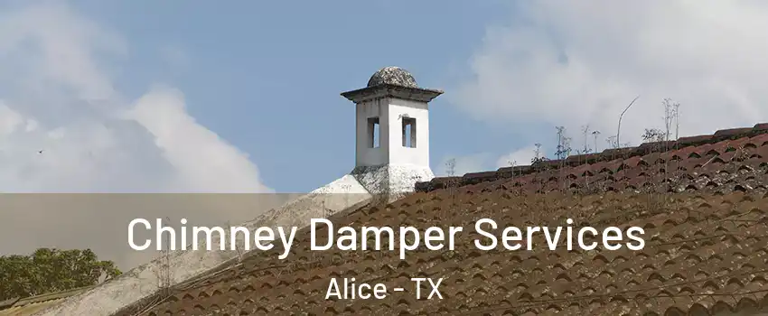  Chimney Damper Services Alice - TX