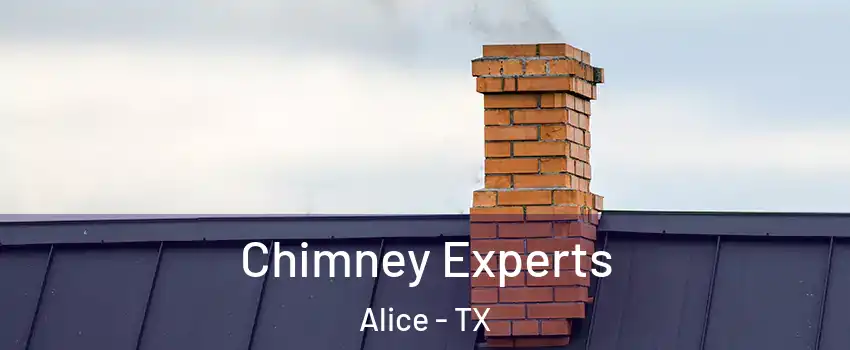  Chimney Experts Alice - TX