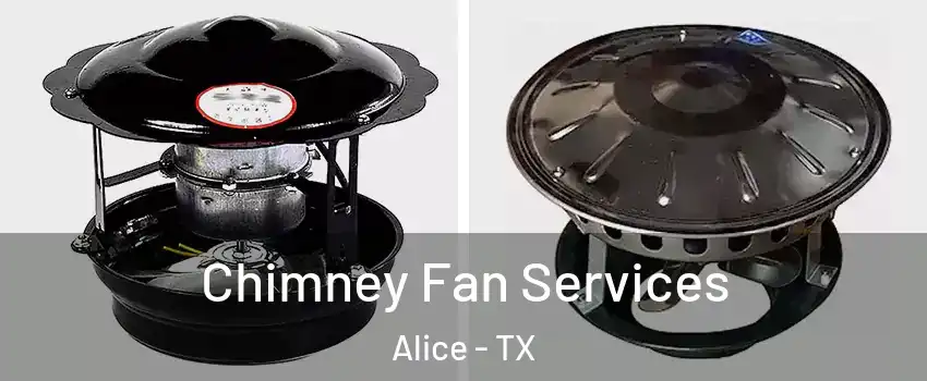  Chimney Fan Services Alice - TX