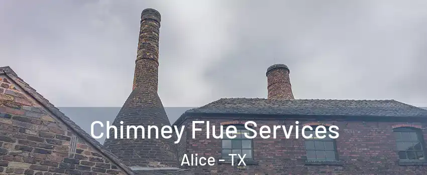  Chimney Flue Services Alice - TX