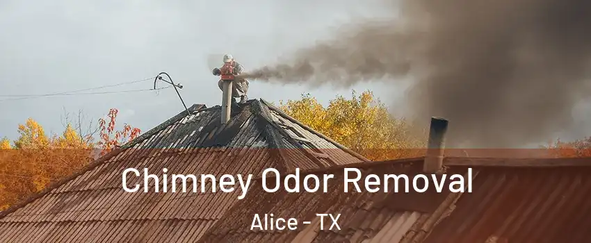  Chimney Odor Removal Alice - TX