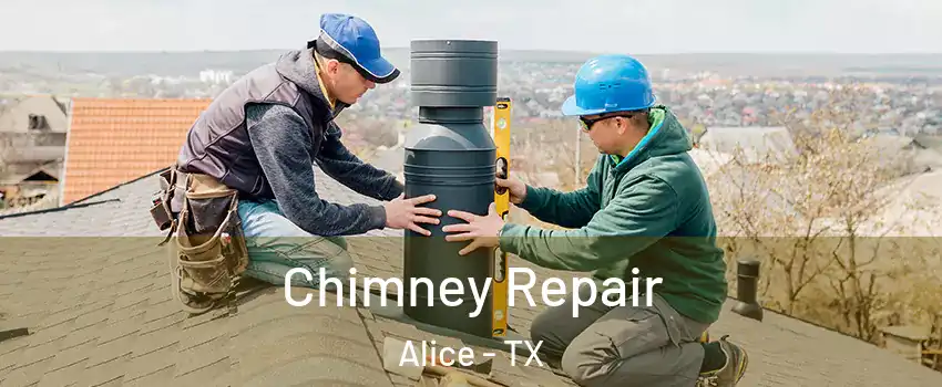  Chimney Repair Alice - TX