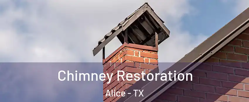  Chimney Restoration Alice - TX