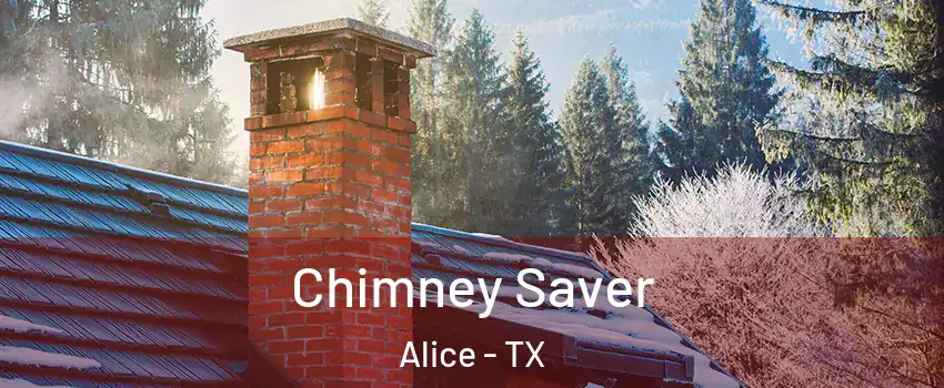  Chimney Saver Alice - TX