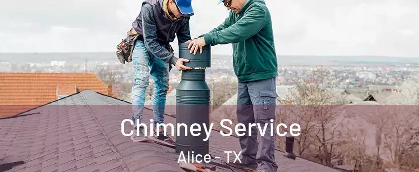  Chimney Service Alice - TX