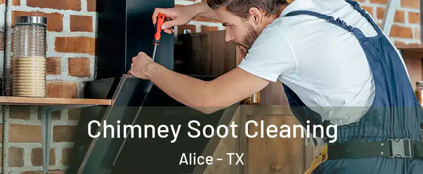  Chimney Soot Cleaning Alice - TX