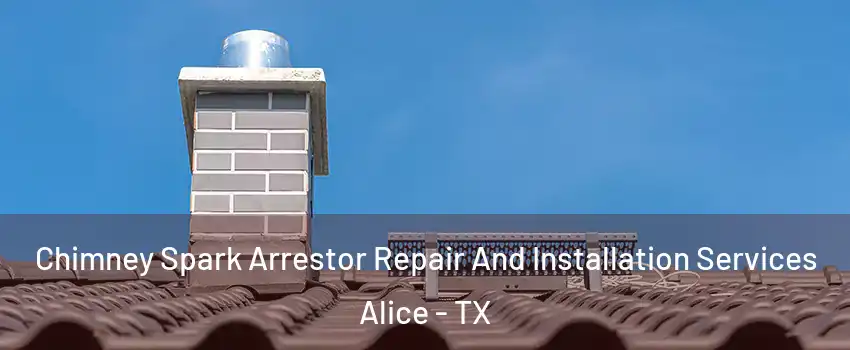  Chimney Spark Arrestor Repair And Installation Services Alice - TX