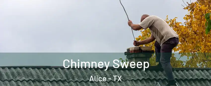  Chimney Sweep Alice - TX