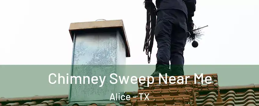  Chimney Sweep Near Me Alice - TX