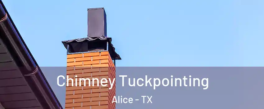  Chimney Tuckpointing Alice - TX