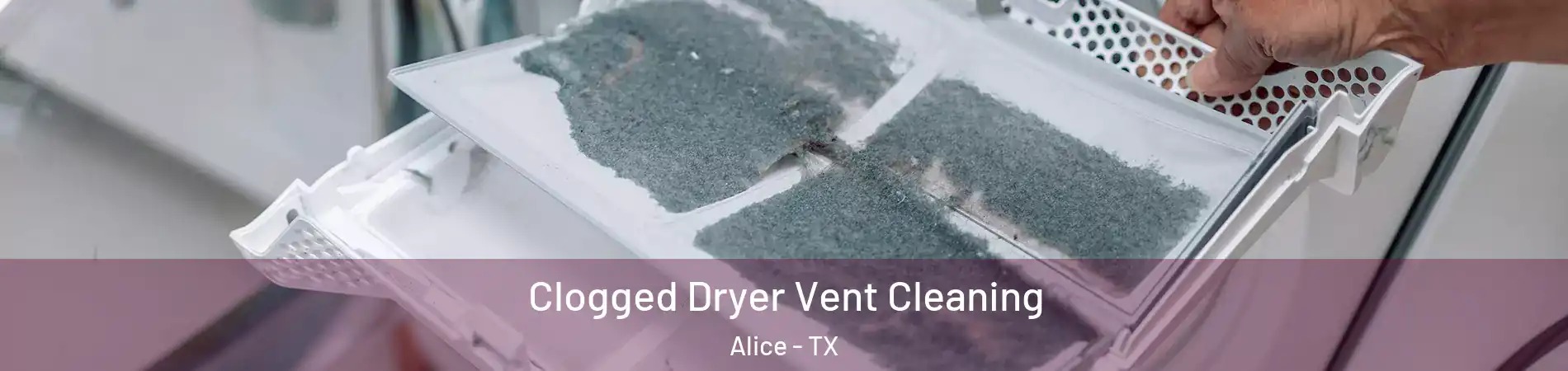  Clogged Dryer Vent Cleaning Alice - TX