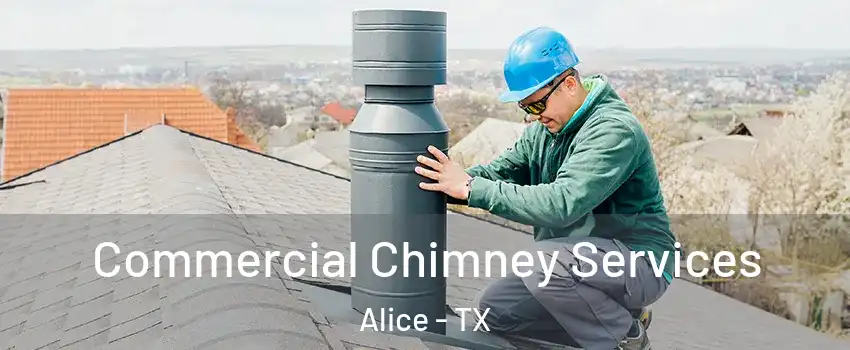  Commercial Chimney Services Alice - TX