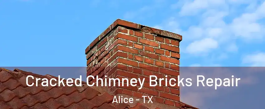  Cracked Chimney Bricks Repair Alice - TX