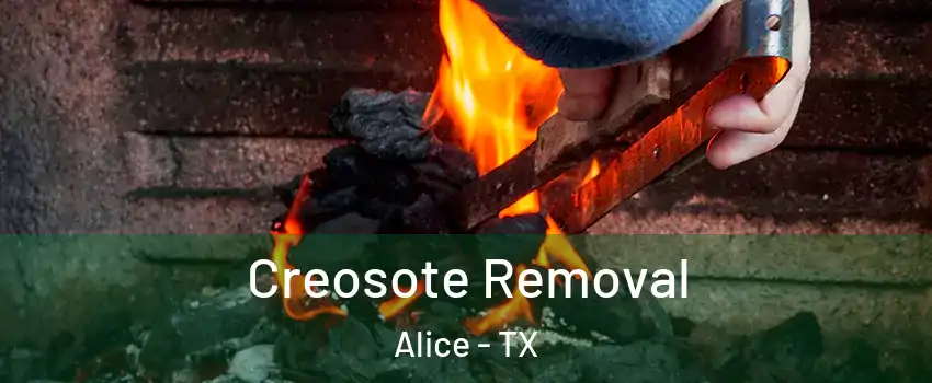  Creosote Removal Alice - TX