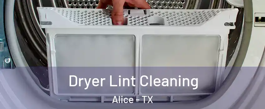  Dryer Lint Cleaning Alice - TX