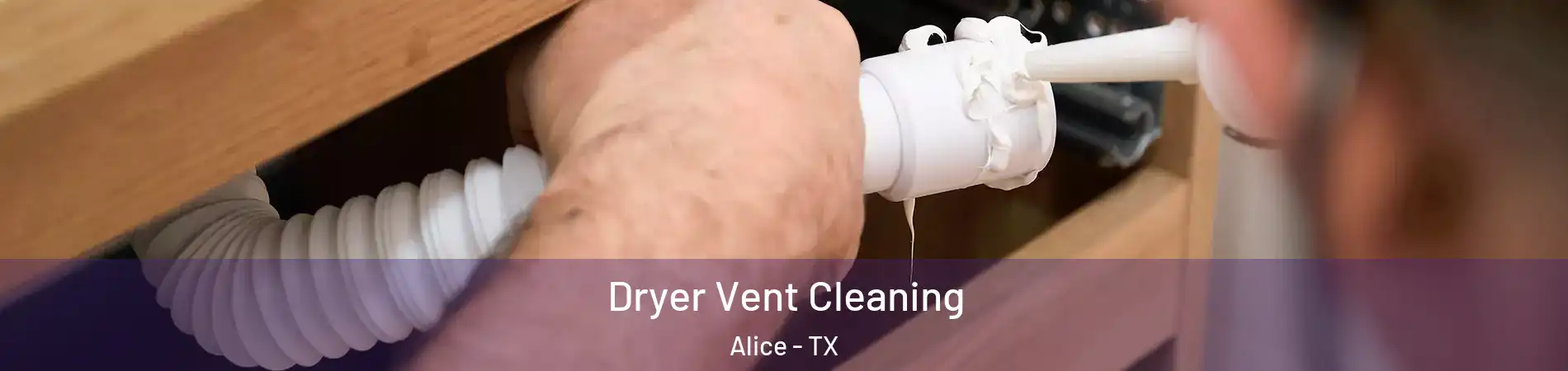  Dryer Vent Cleaning Alice - TX