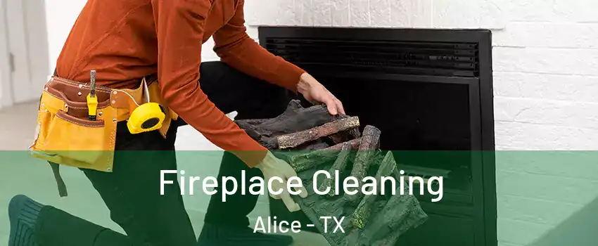  Fireplace Cleaning Alice - TX