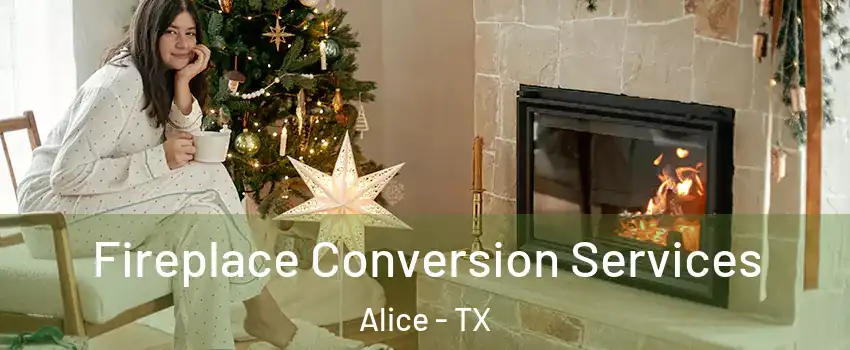  Fireplace Conversion Services Alice - TX