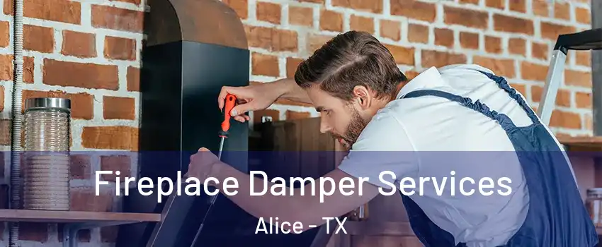  Fireplace Damper Services Alice - TX