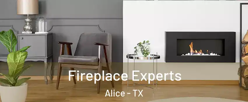  Fireplace Experts Alice - TX