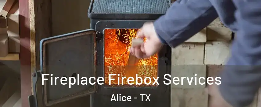  Fireplace Firebox Services Alice - TX