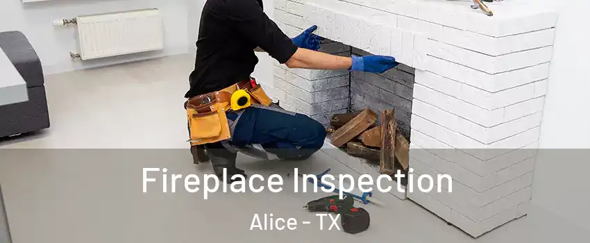  Fireplace Inspection Alice - TX