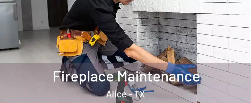  Fireplace Maintenance Alice - TX