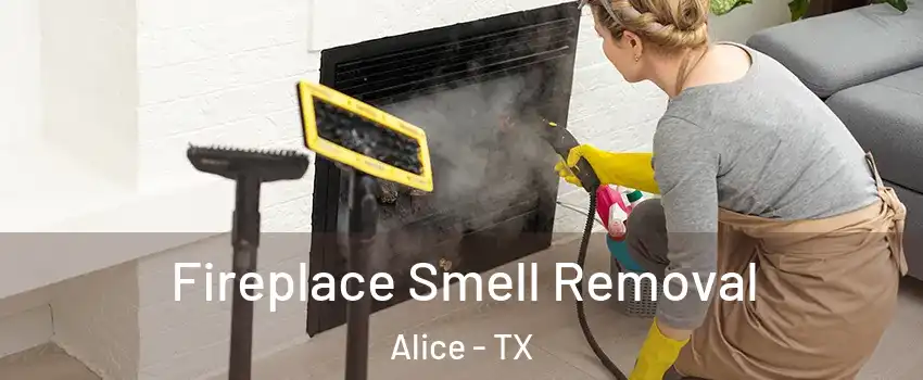  Fireplace Smell Removal Alice - TX