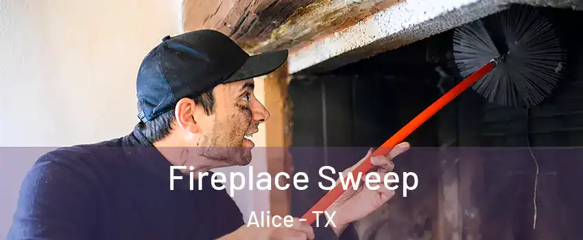  Fireplace Sweep Alice - TX