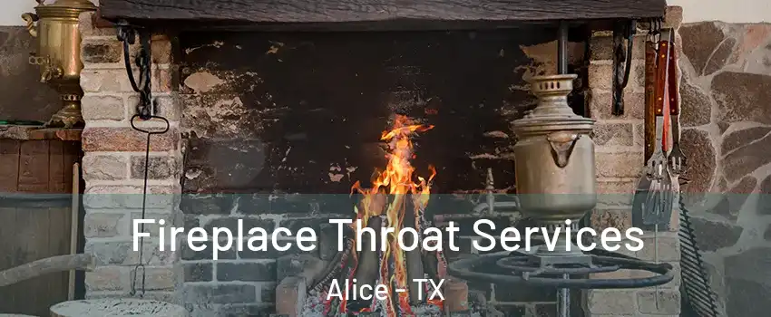  Fireplace Throat Services Alice - TX