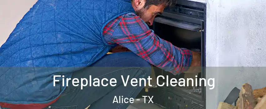  Fireplace Vent Cleaning Alice - TX