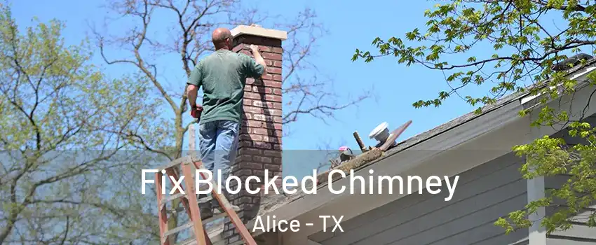  Fix Blocked Chimney Alice - TX