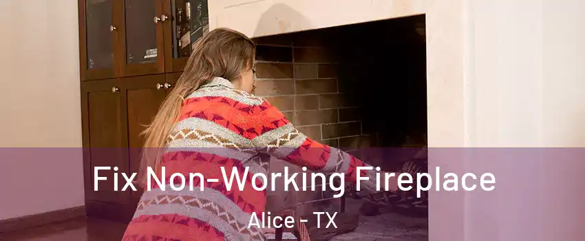  Fix Non-Working Fireplace Alice - TX