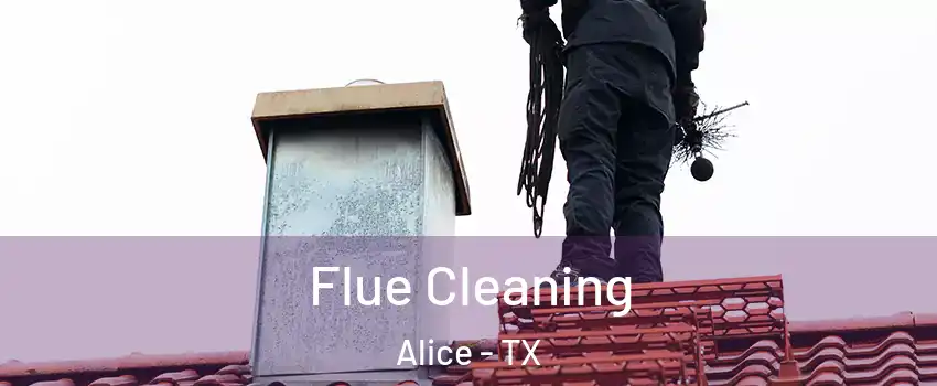  Flue Cleaning Alice - TX
