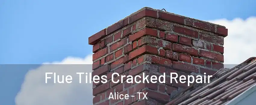 Flue Tiles Cracked Repair Alice - TX