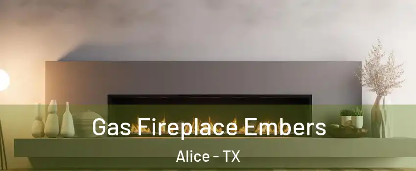  Gas Fireplace Embers Alice - TX