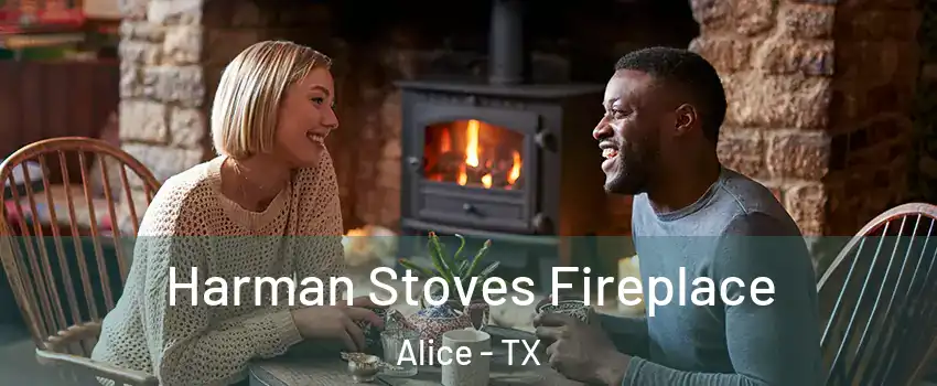  Harman Stoves Fireplace Alice - TX