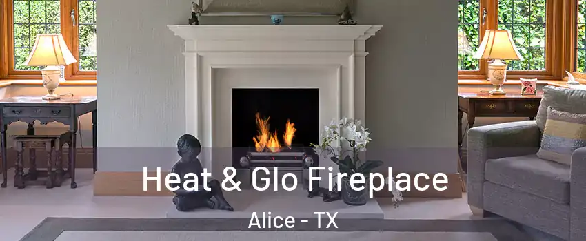  Heat & Glo Fireplace Alice - TX