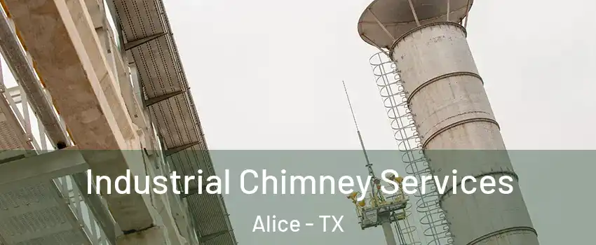  Industrial Chimney Services Alice - TX