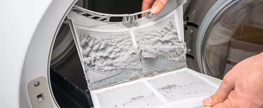 Best Dryer Lint Removal Company in Alice, Texas