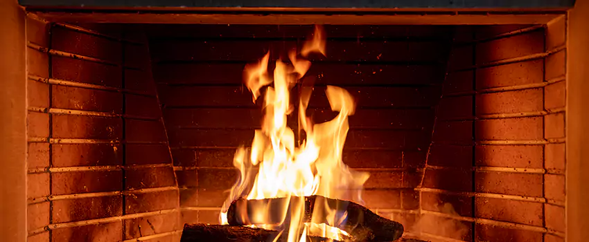 Soot Cleanup Services in Alice, TX